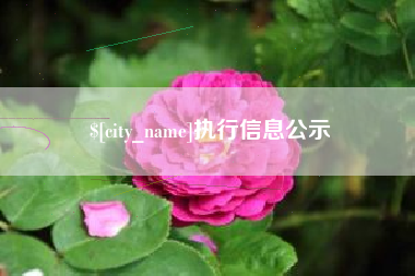 北流执行信息公示