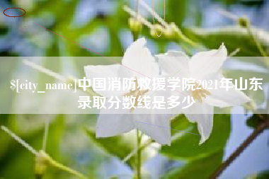 北流中国消防救援学院2021年山东录取分数线是多少