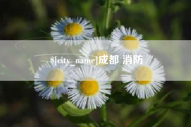 北流成都 消防