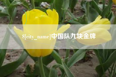 北流中国队九块金牌
