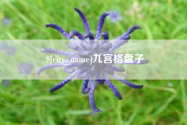 北流九宫格盘子