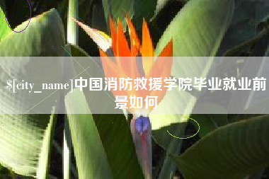 北流中国消防救援学院毕业就业前景如何