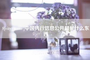 北流中国执行信息公开网是什么东西