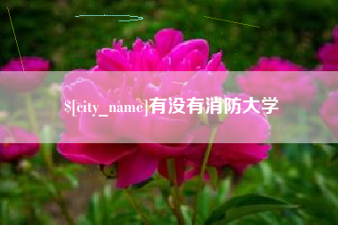北流有没有消防大学