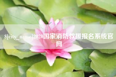 北流2020国家消防救援报名系统官网
