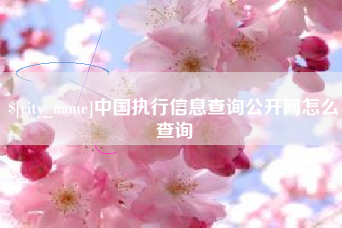 北流中国执行信息查询公开网怎么查询