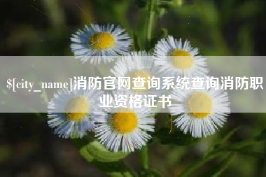 北流消防官网查询系统查询消防职业资格证书