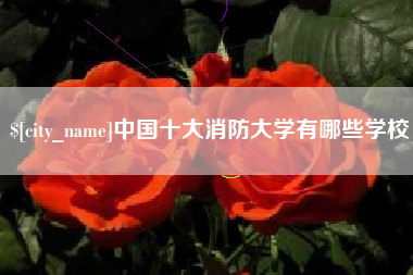 北流中国十大消防大学有哪些学校