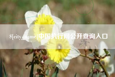 北流中国执行网公开查询入口