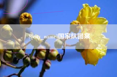 北流国家队图案