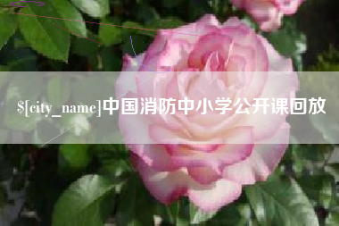 北流中国消防中小学公开课回放