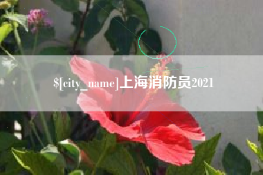 北流上海消防员2021