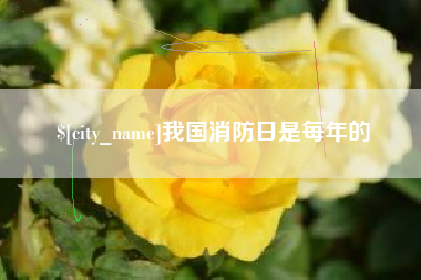 北流我国消防日是每年的