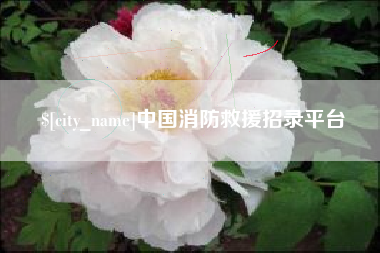 北流中国消防救援招录平台