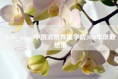 北流中国消防救援学院2020年录取结果