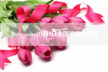 北流11月9日全国消防日图片