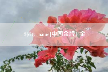 北流中国金牌18金
