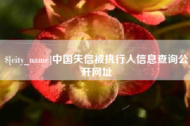 北流中国失信被执行人信息查询公开网址