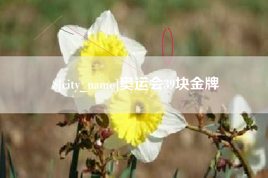 北流奥运会39块金牌