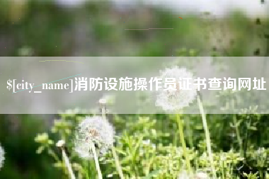 北流消防设施操作员证书查询网址