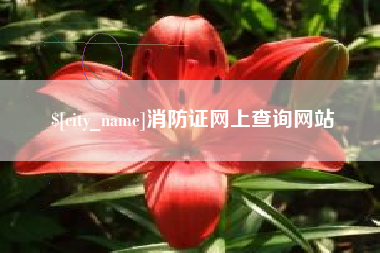 北流消防证网上查询网站