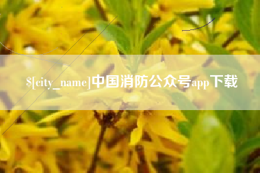 北流中国消防公众号app下载