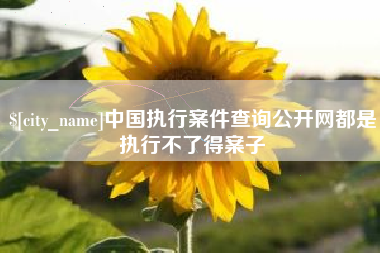 北流中国执行案件查询公开网都是执行不了得案子