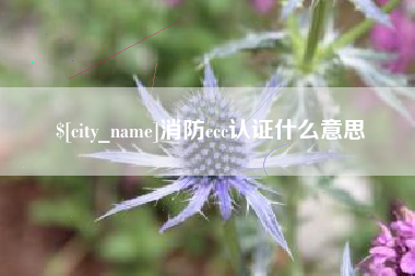 北流消防ccc认证什么意思
