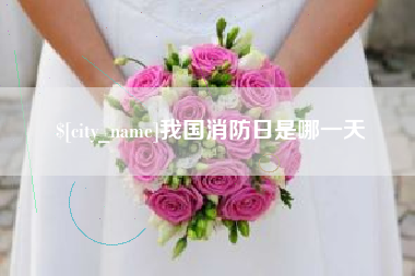 北流我国消防日是哪一天