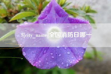北流全国消防日哪一