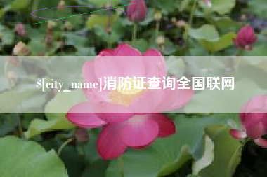 北流消防证查询全国联网