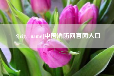 北流中国消防网官网入口