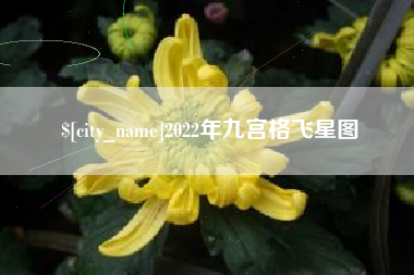 北流2022年九宫格飞星图