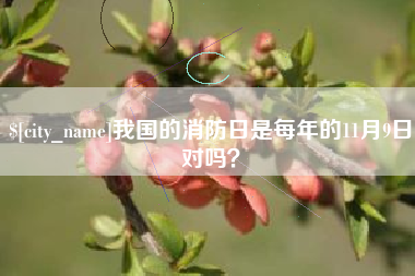 北流我国的消防日是每年的11月9日对吗？