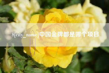 北流中国金牌都是哪个项目