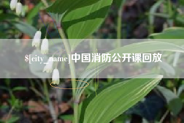 北流中国消防公开课回放