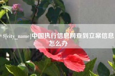 北流中国执行信息网查到立案信息怎么办