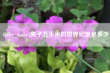 北流男子五千米的世界纪录是多少