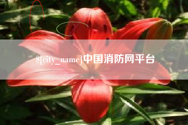 北流中国消防网平台