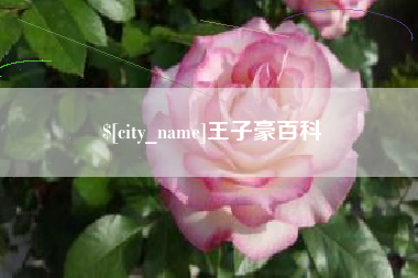 北流王子豪百科