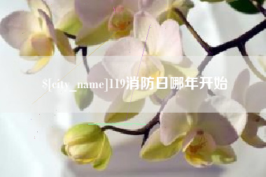 北流119消防日哪年开始