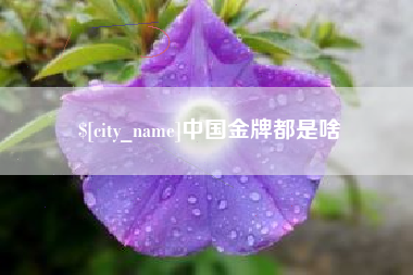 北流中国金牌都是啥