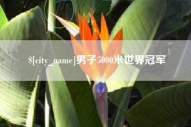 北流男子5000米世界冠军