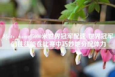 北流5000米世界冠军配速-世界冠军们往往能在比赛中巧妙地分配体力