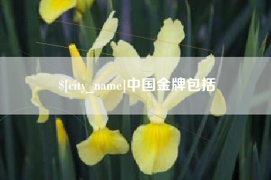 北流中国金牌包括