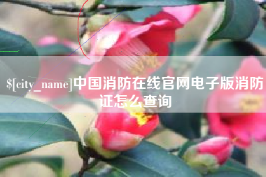 北流中国消防在线官网电子版消防证怎么查询