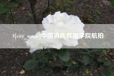 北流中国消防救援学院航拍
