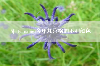 北流今年九宫格的不利颜色