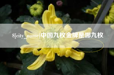 北流中国九枚金牌是哪九枚