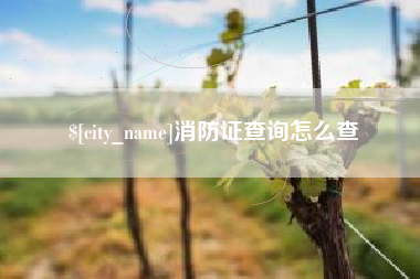 北流消防证查询怎么查